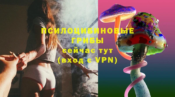 бошки Баксан
