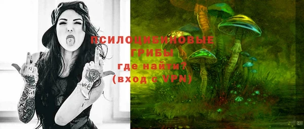 бошки Баксан