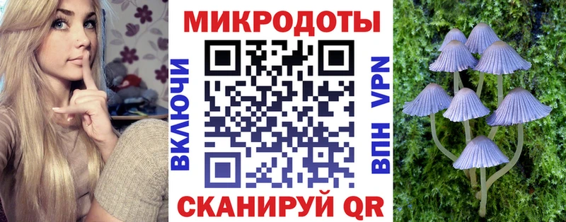 shop какой сайт  сколько стоит  Сегежа  Галлюциногенные грибы GOLDEN TEACHER 